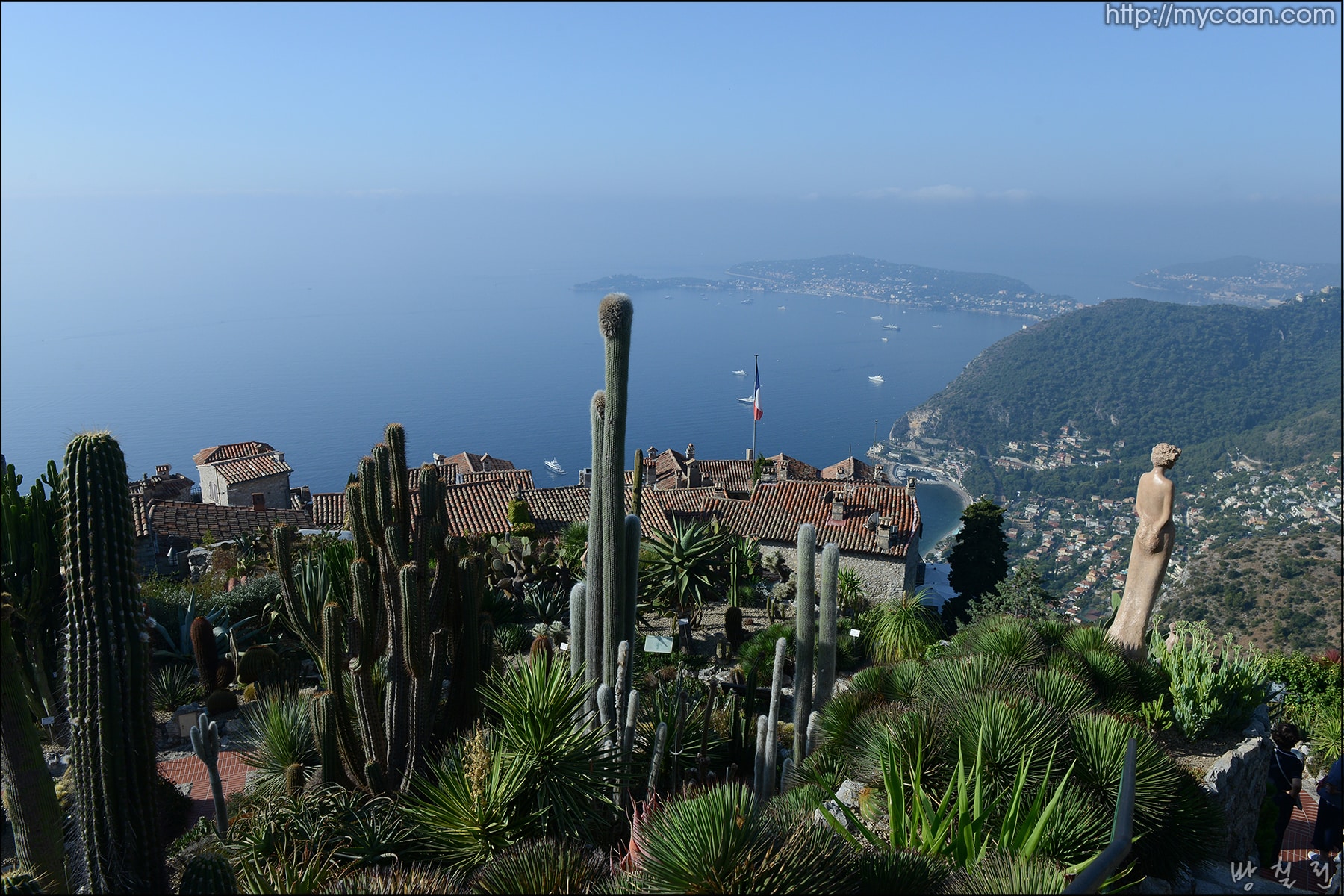 사용자 삽입 이미지