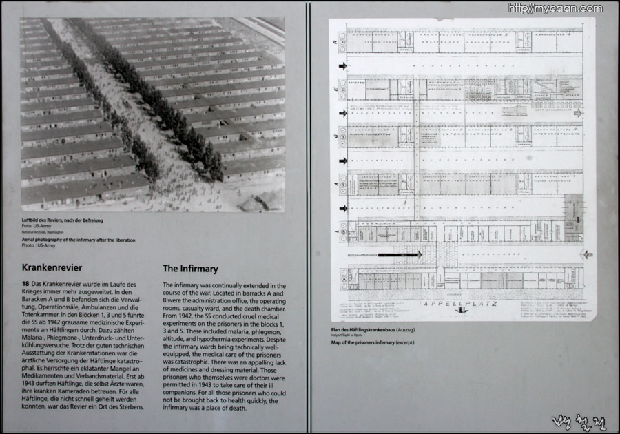 그 때당시의 막사와 나무와 군중들
