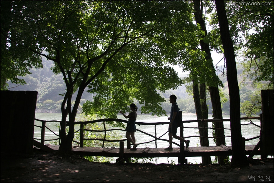 사용자 삽입 이미지