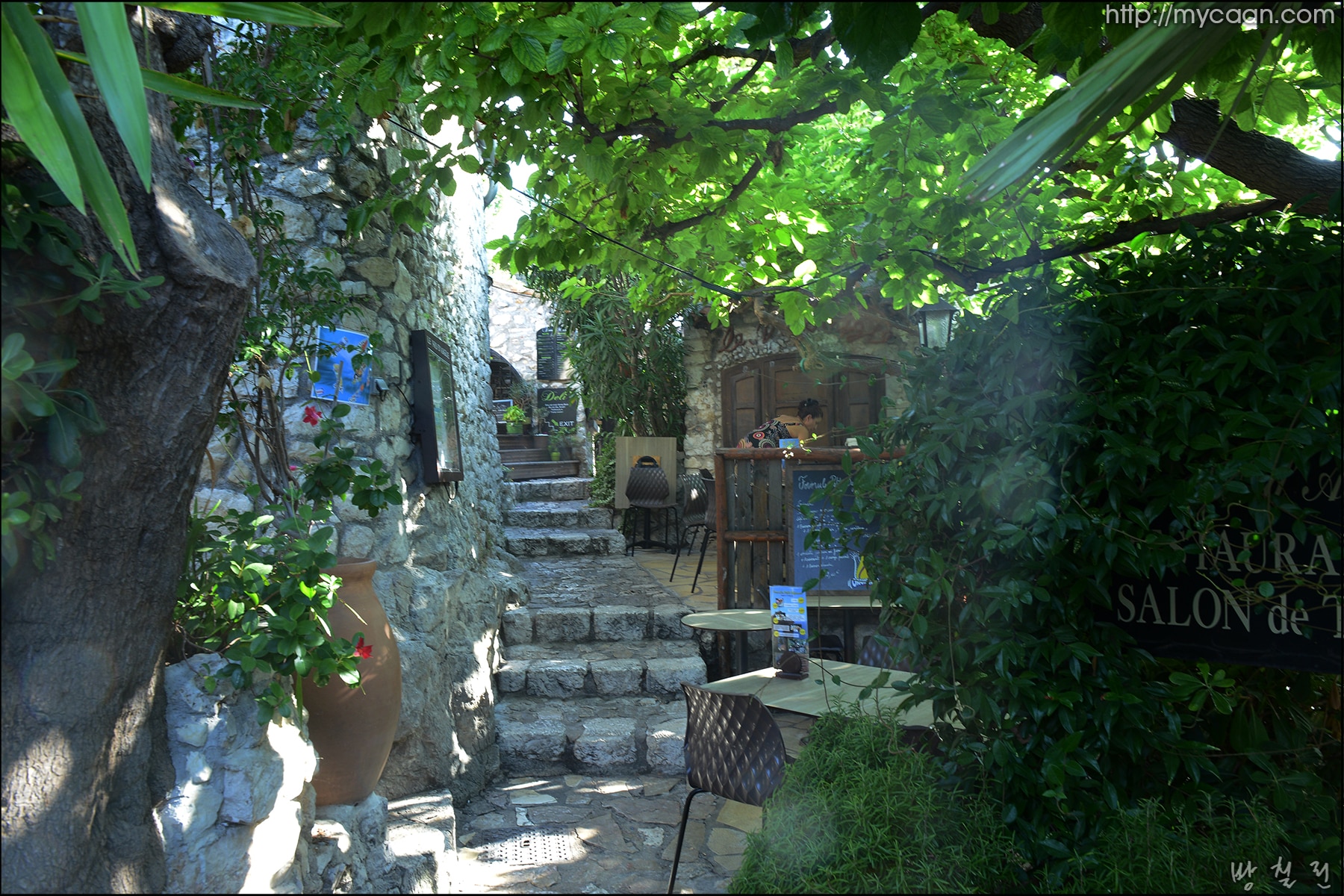 사용자 삽입 이미지