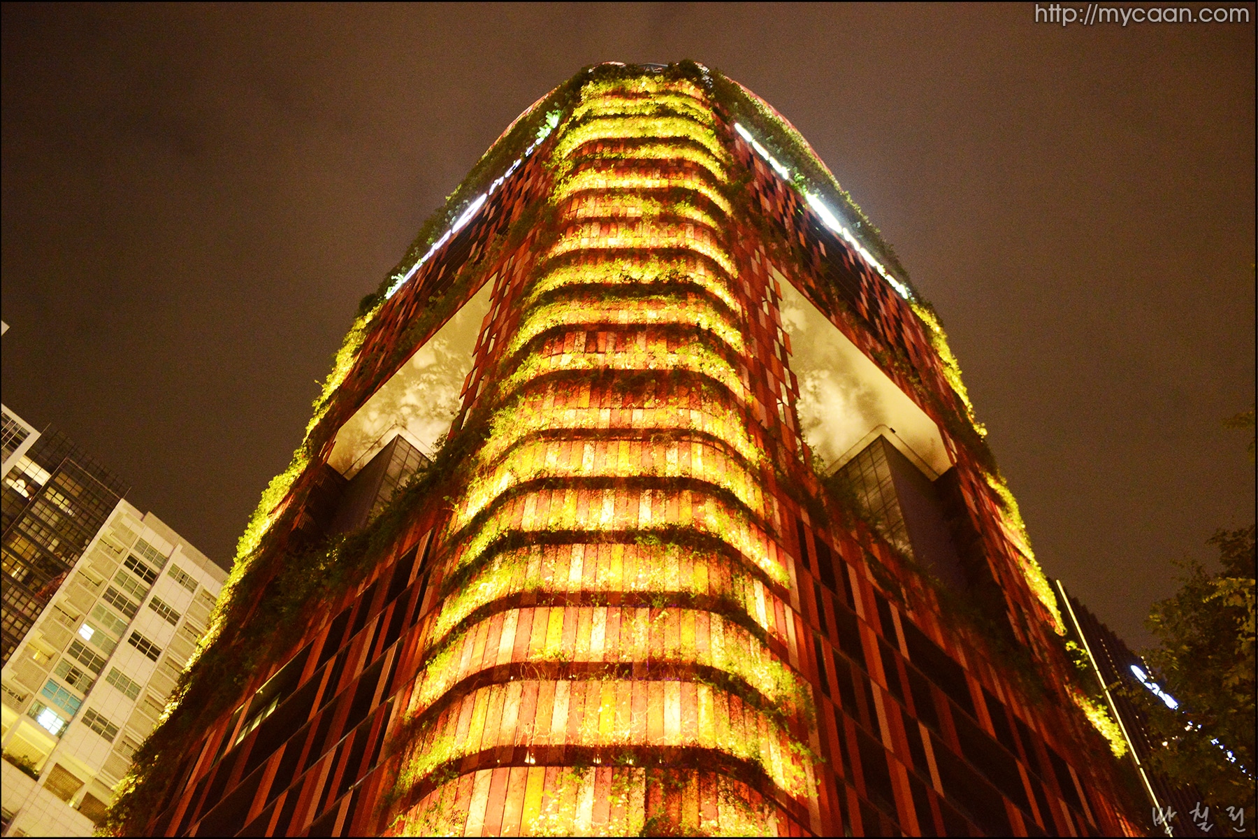 사용자 삽입 이미지