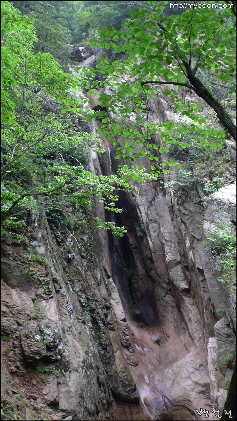 사용자 삽입 이미지