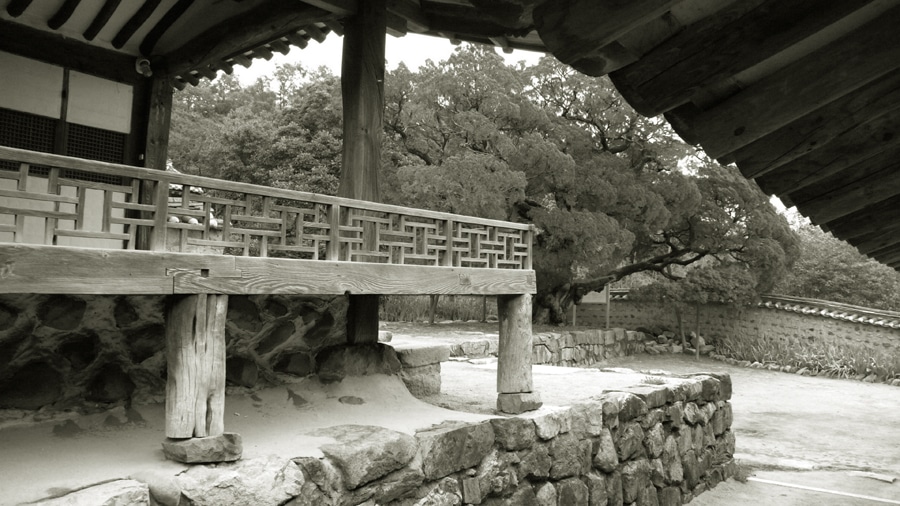 행랑채측에서 본 서백당 사랑대청과 향나무