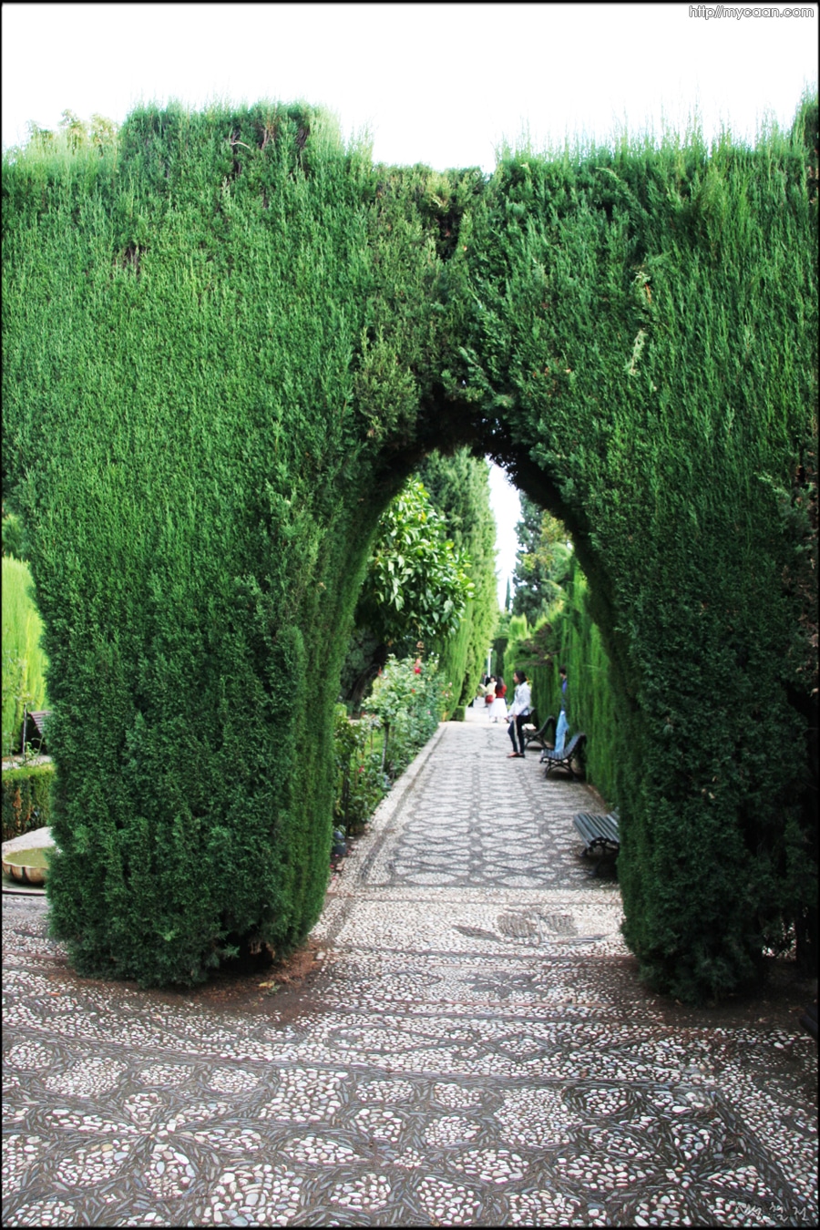 사용자 삽입 이미지