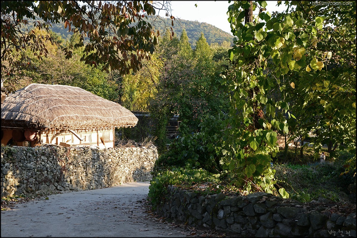 사용자 삽입 이미지