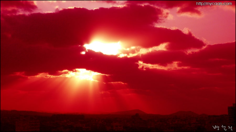 사용자 삽입 이미지