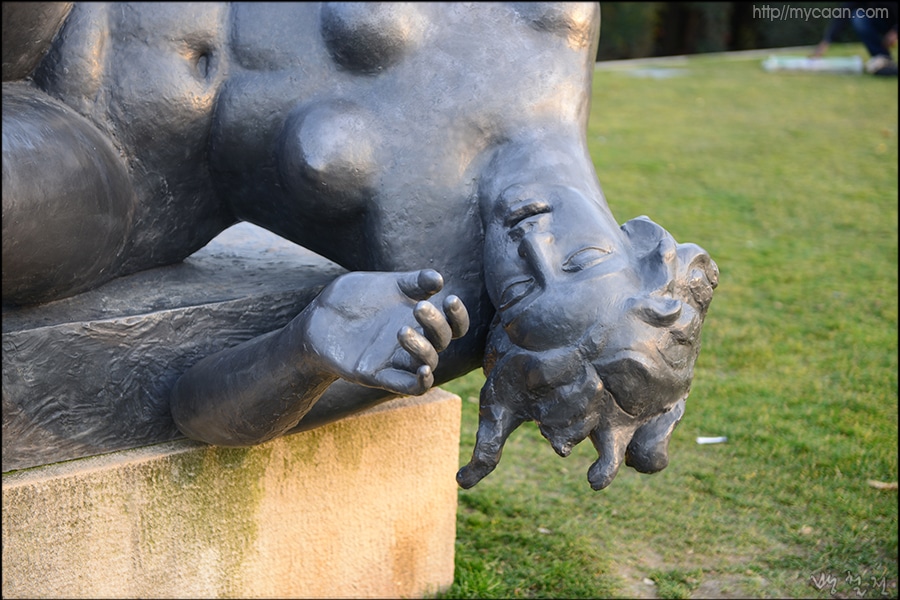 사용자 삽입 이미지