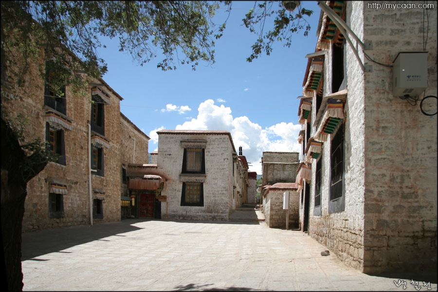 사용자 삽입 이미지