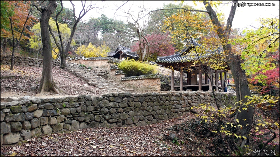 사용자 삽입 이미지