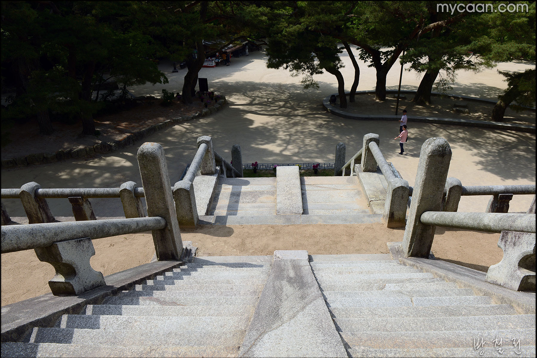 사용자 삽입 이미지