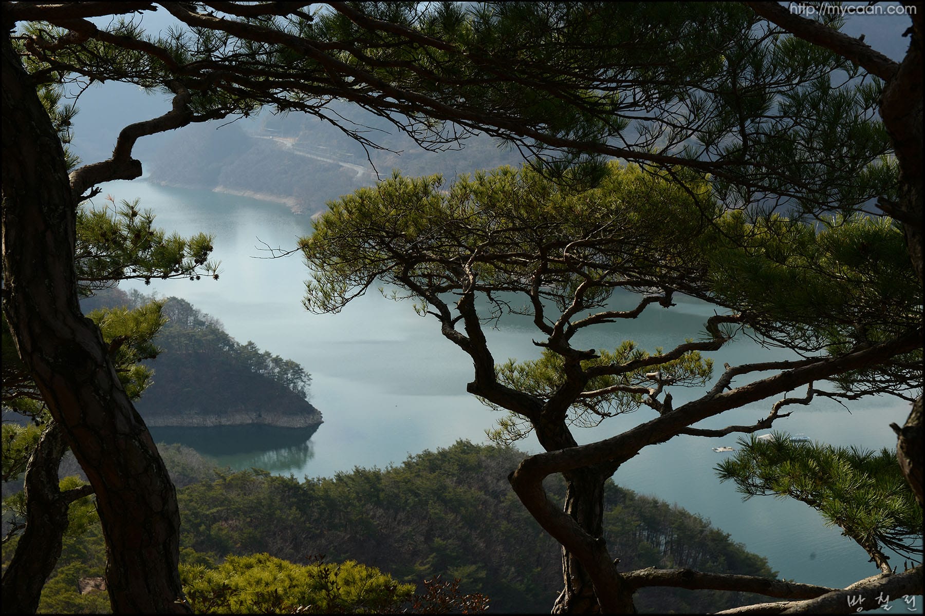 사용자 삽입 이미지