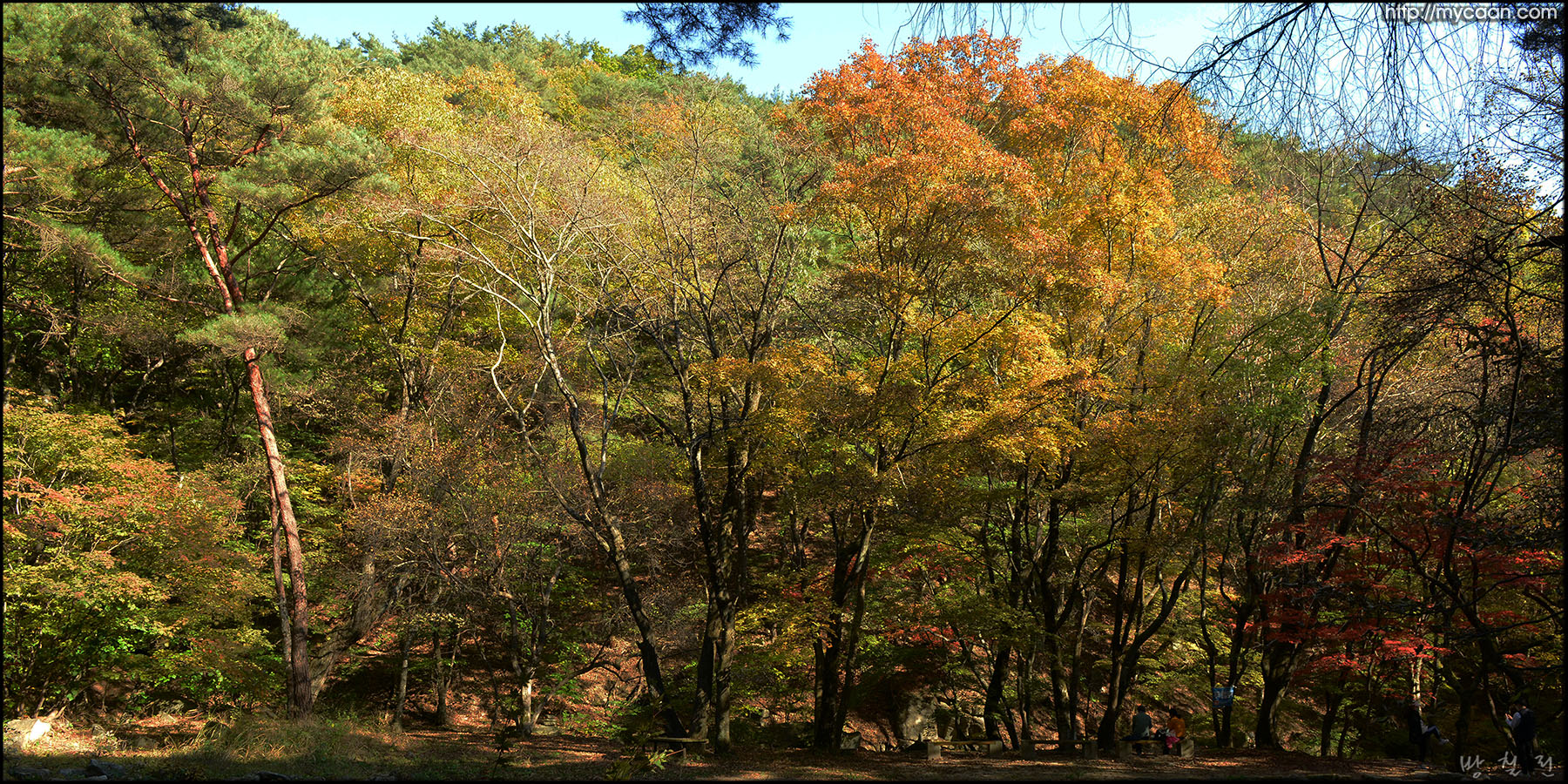 사용자 삽입 이미지