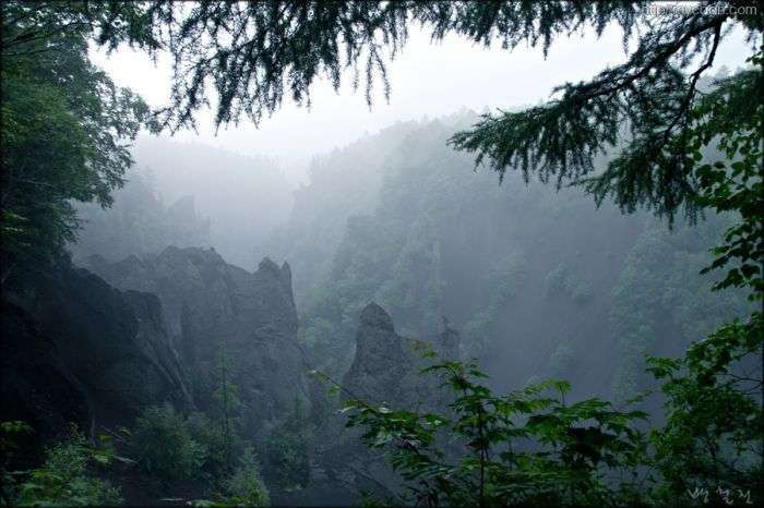 사용자 삽입 이미지