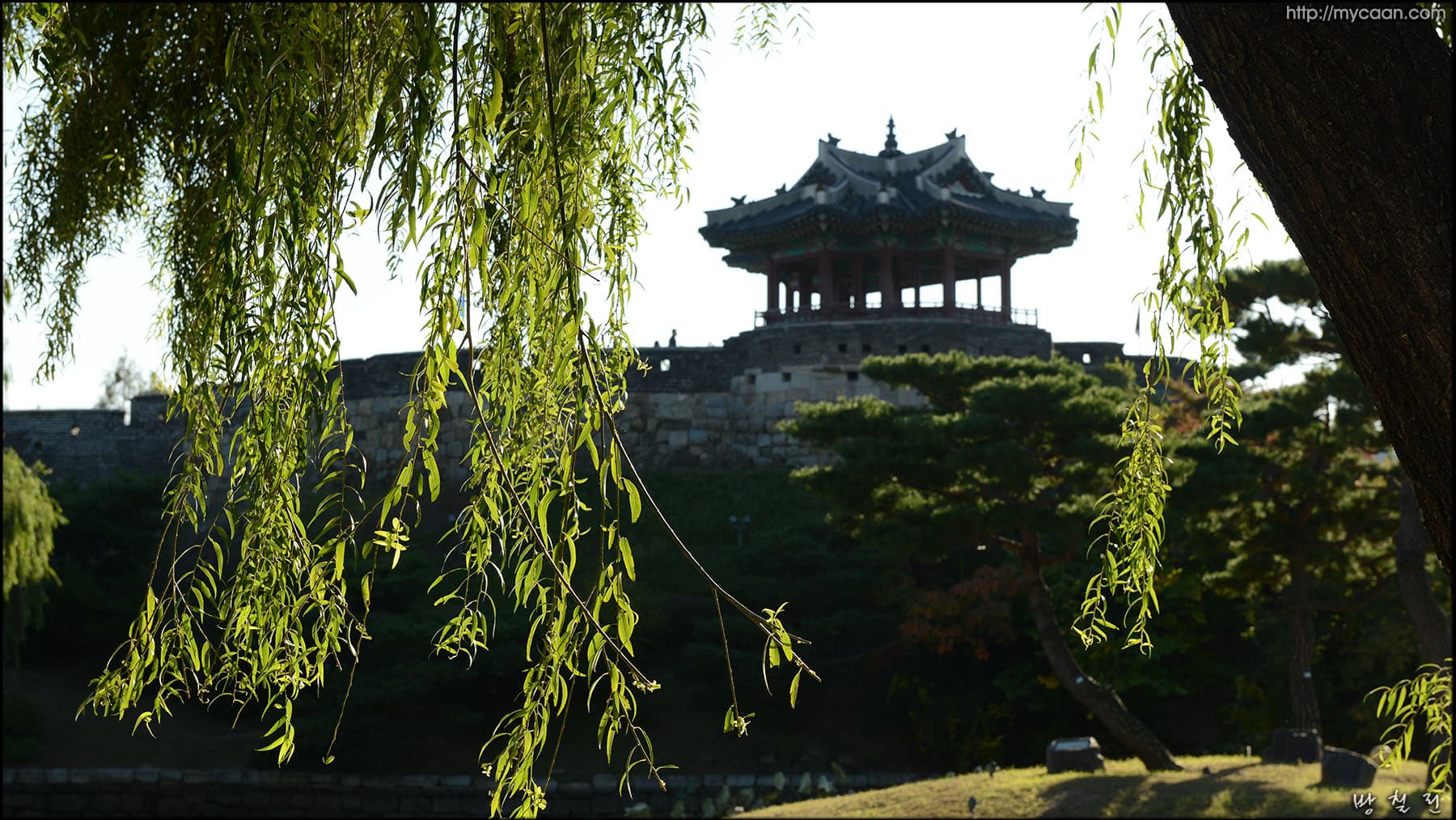 사용자 삽입 이미지