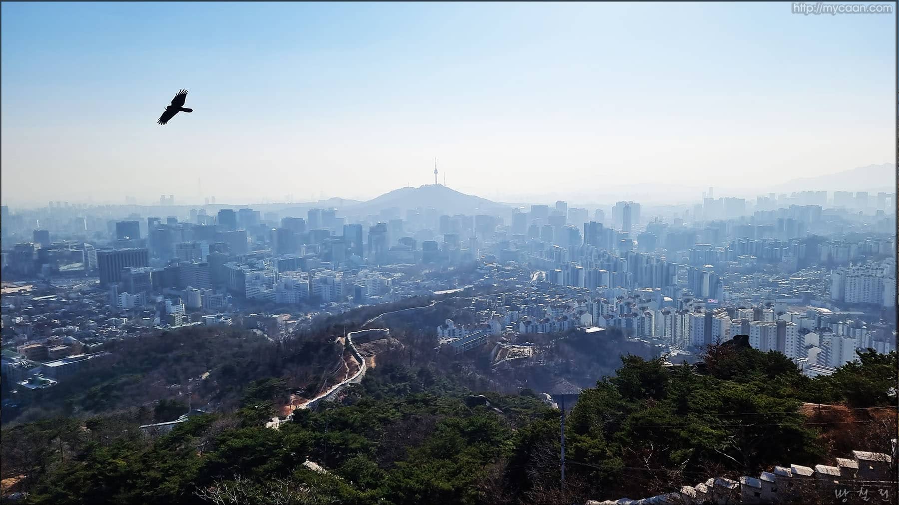 사용자 삽입 이미지