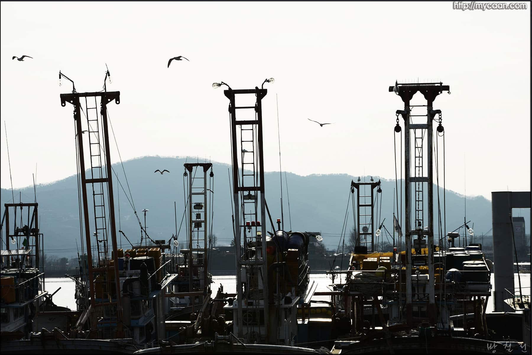 사용자 삽입 이미지