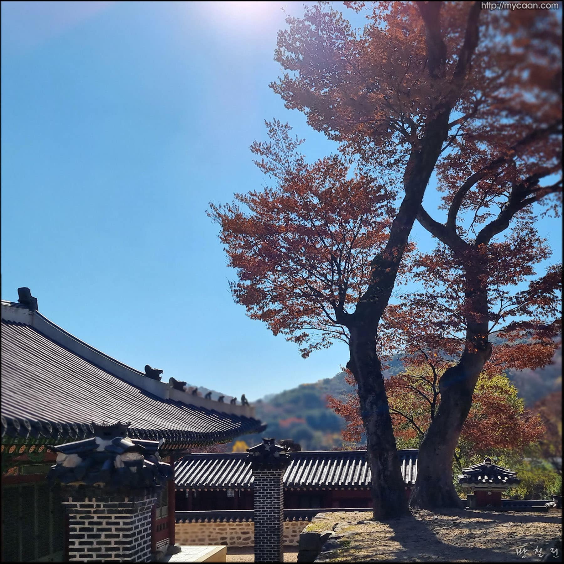 사용자 삽입 이미지