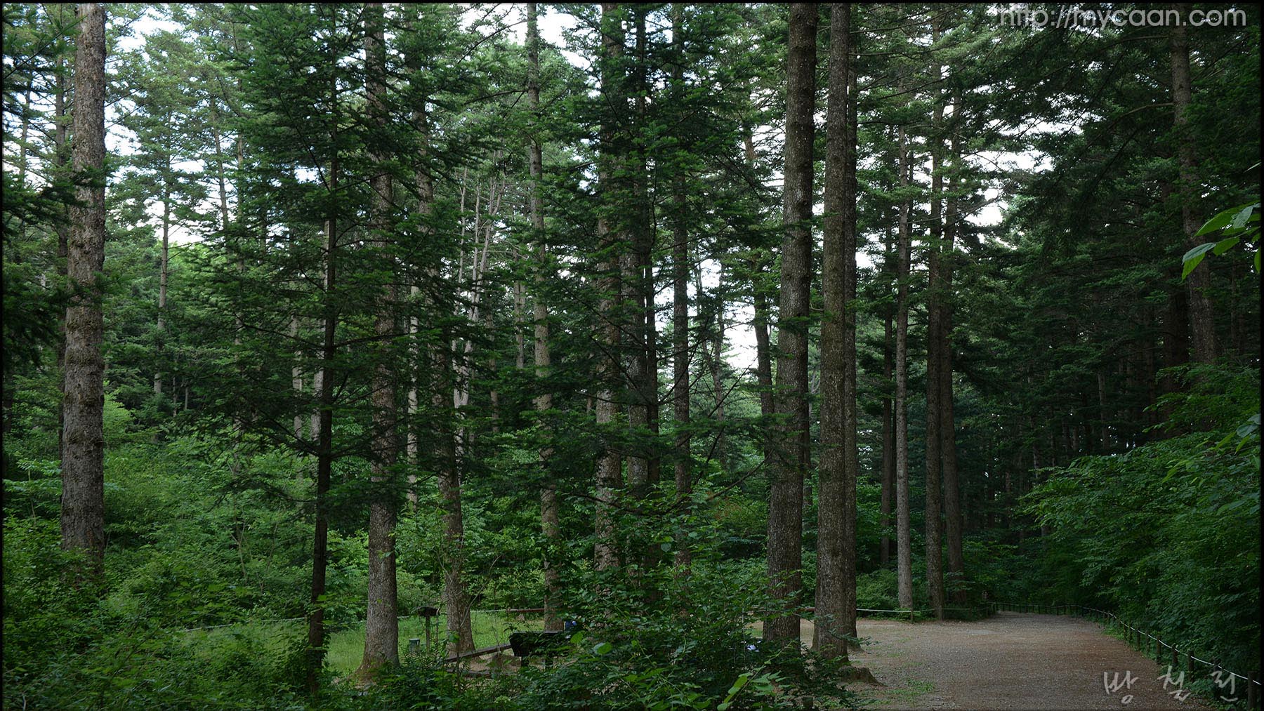 사용자 삽입 이미지