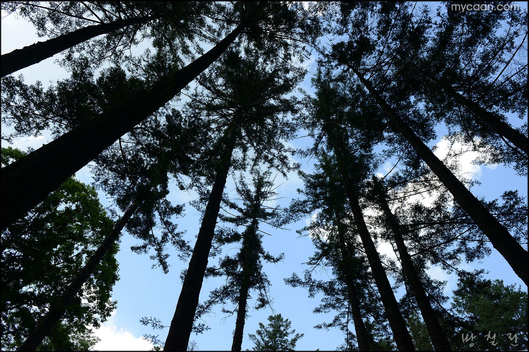 사용자 삽입 이미지