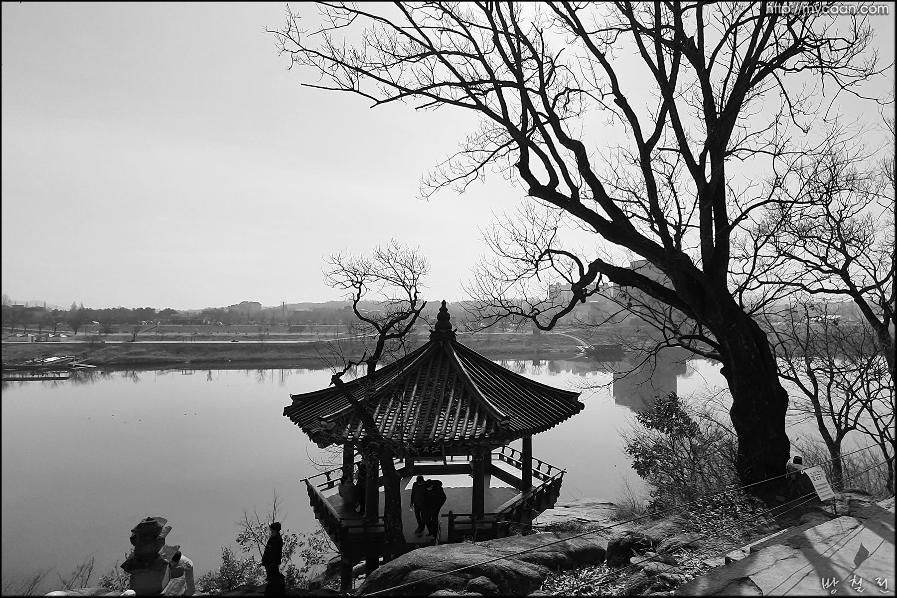 사용자 삽입 이미지