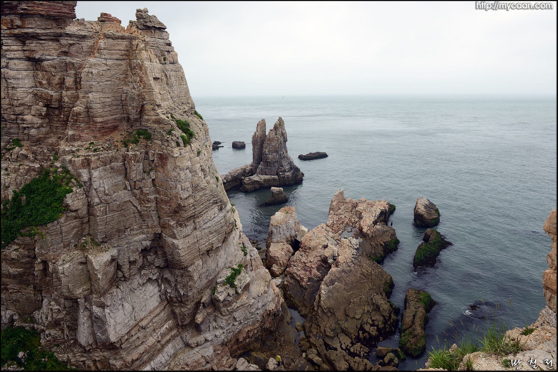 사용자 삽입 이미지