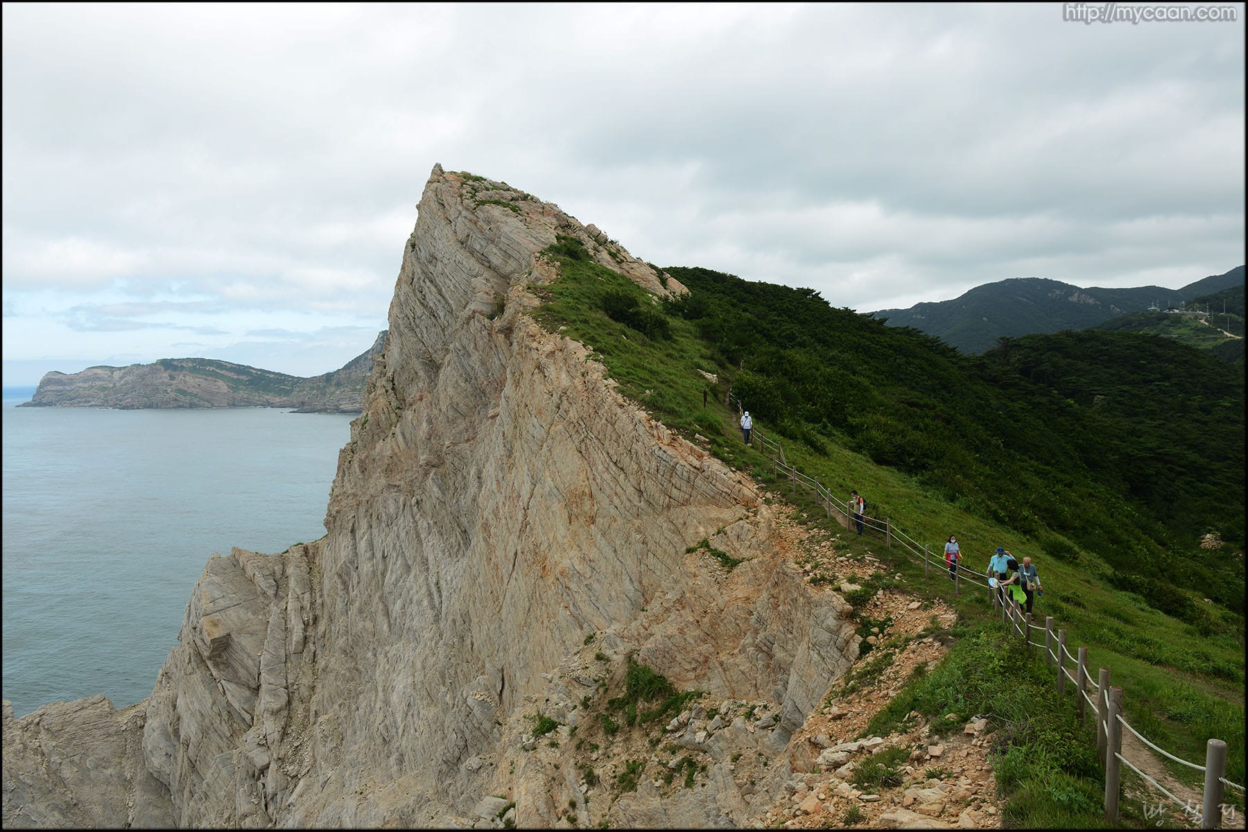 사용자 삽입 이미지