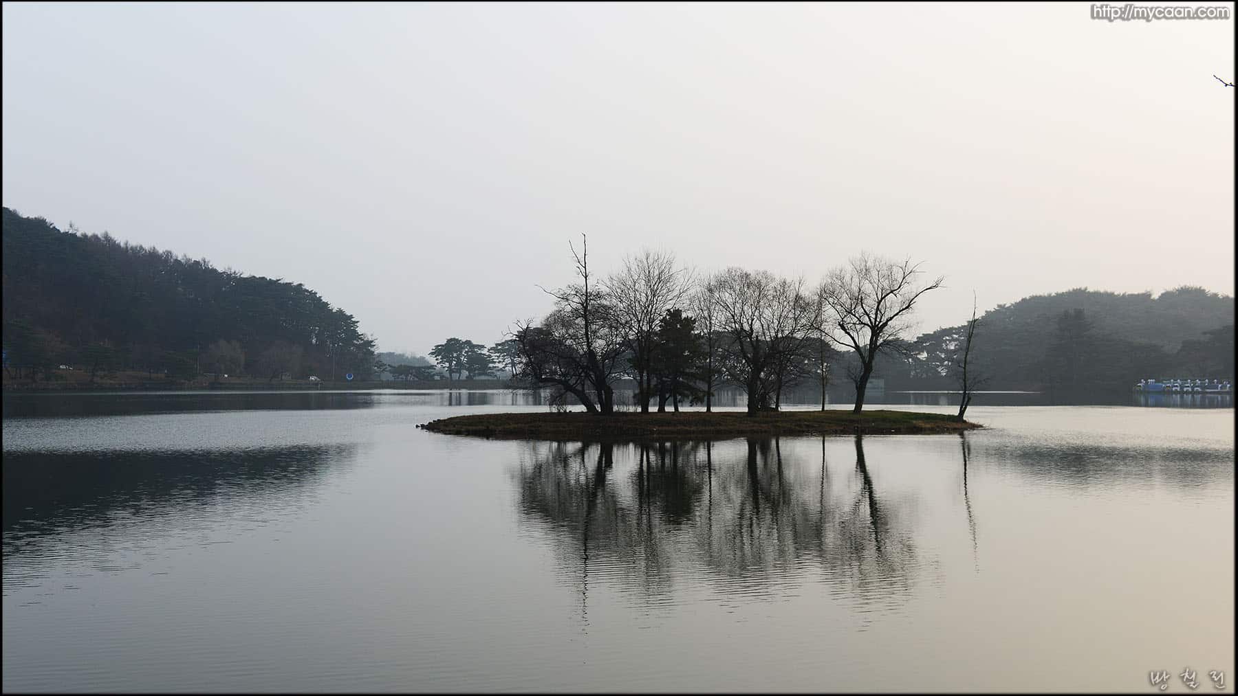 사용자 삽입 이미지