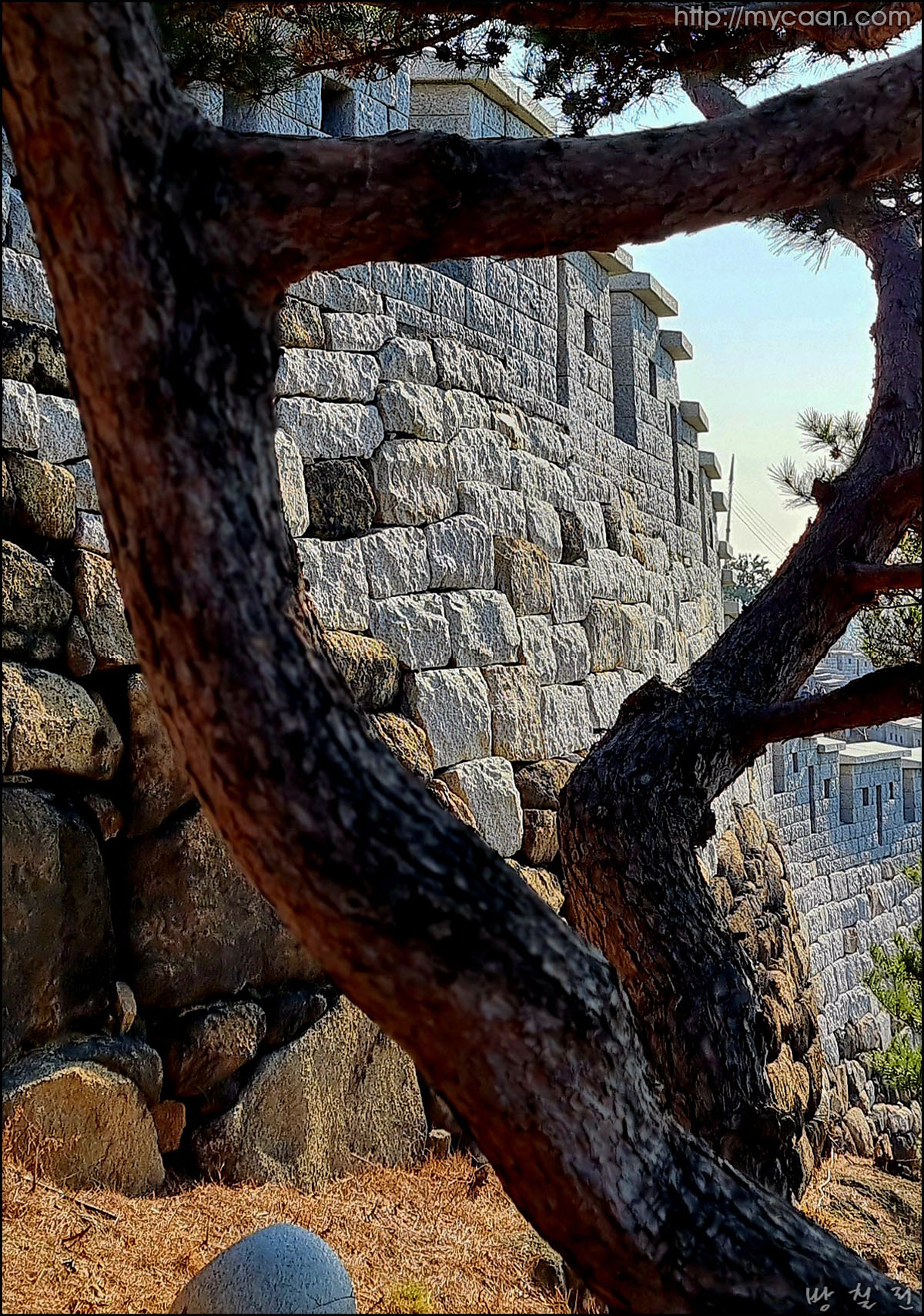 사용자 삽입 이미지