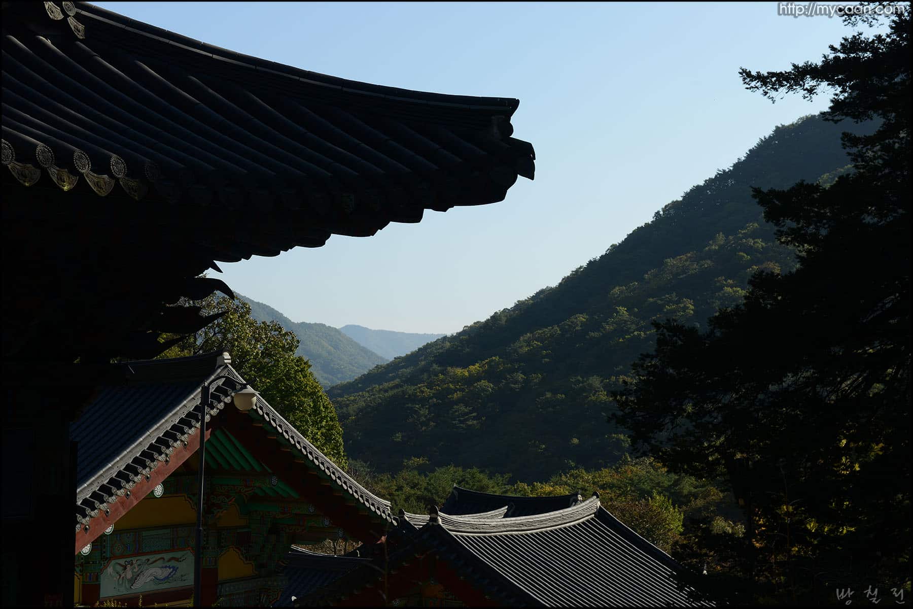 사용자 삽입 이미지