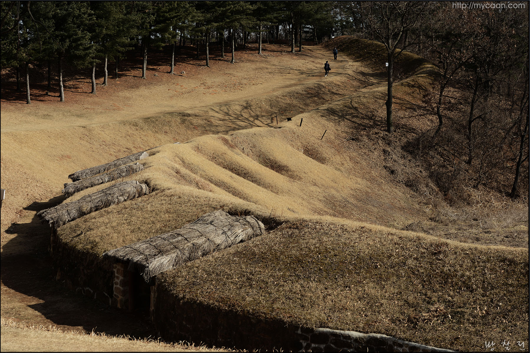 사용자 삽입 이미지