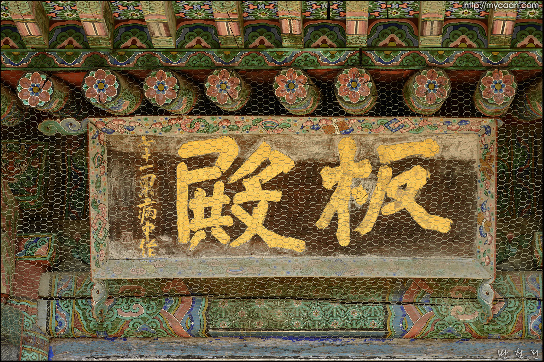 사용자 삽입 이미지