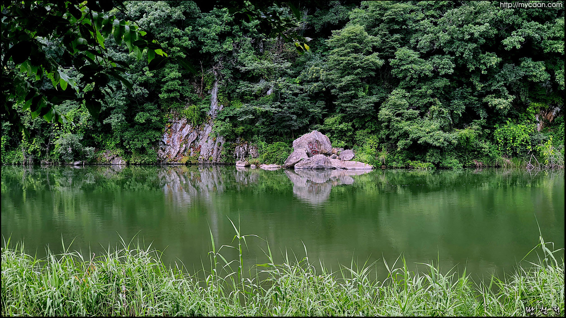 사용자 삽입 이미지