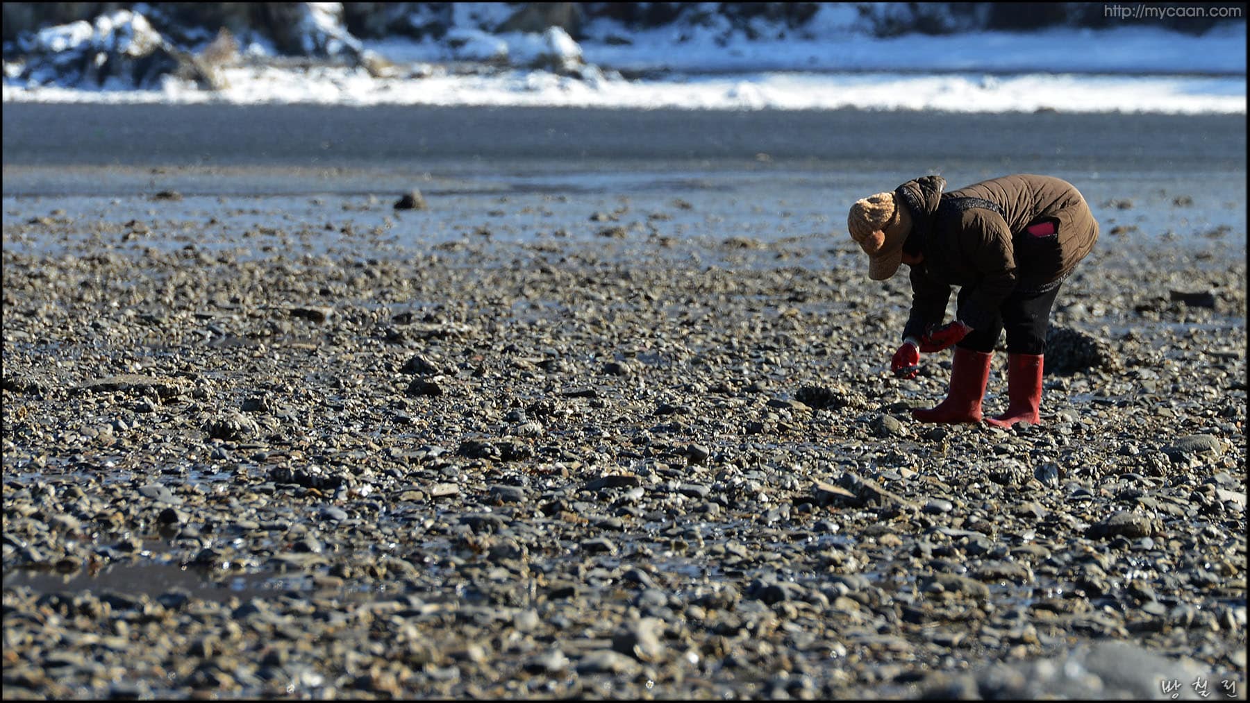 사용자 삽입 이미지