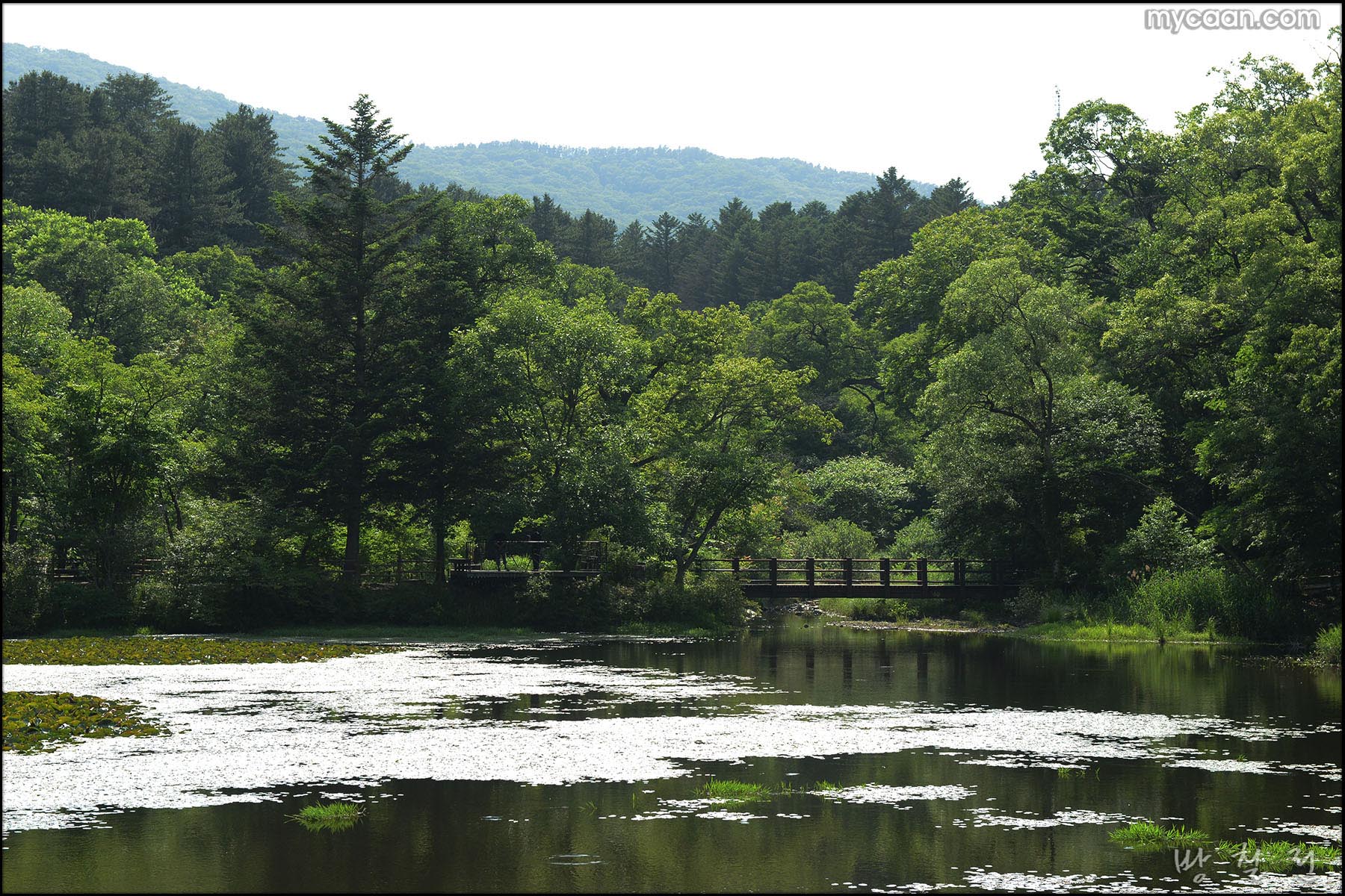 사용자 삽입 이미지