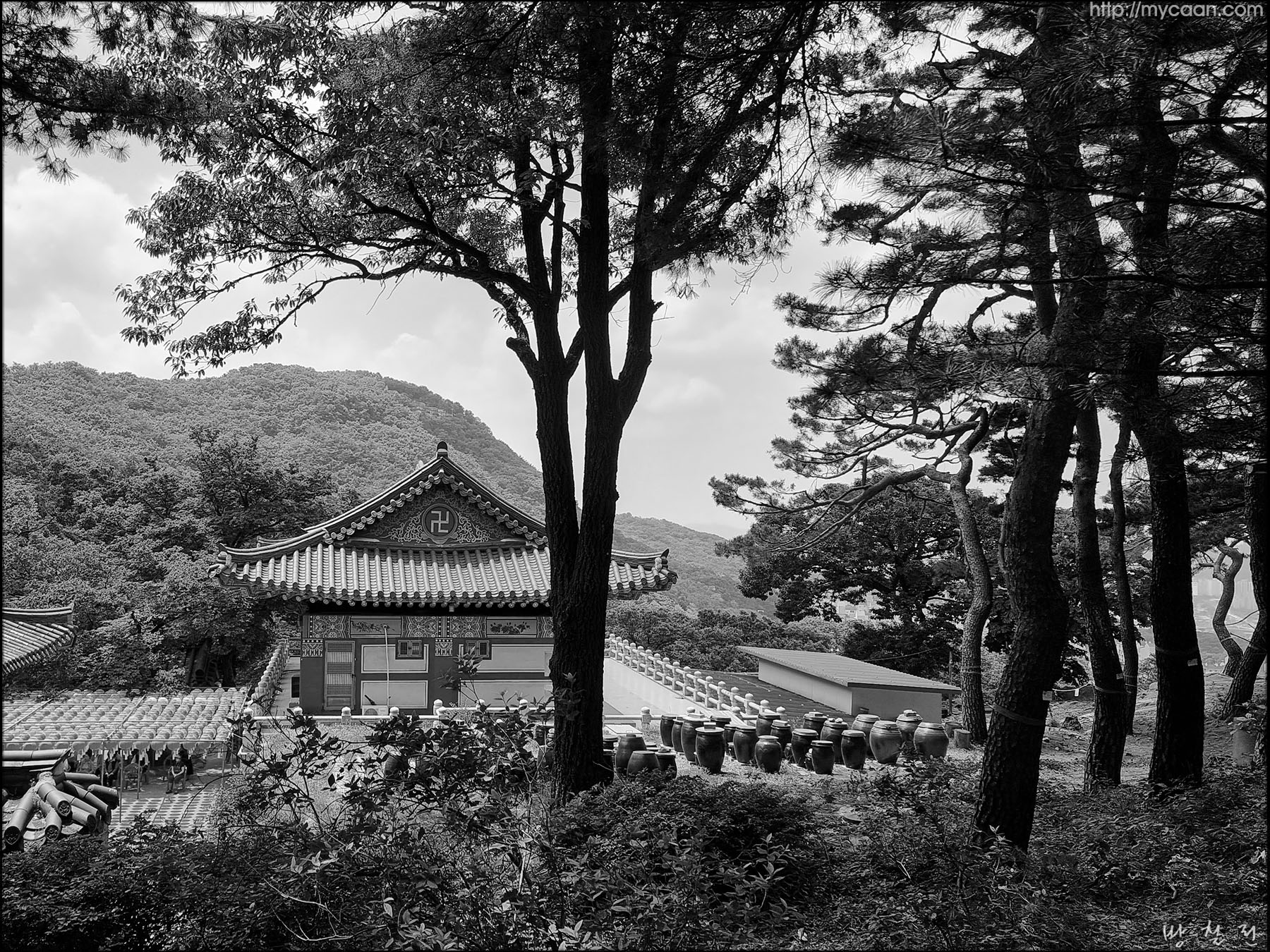 사용자 삽입 이미지