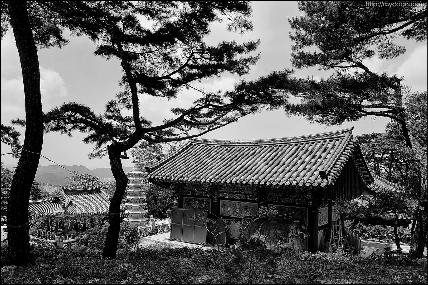 사용자 삽입 이미지