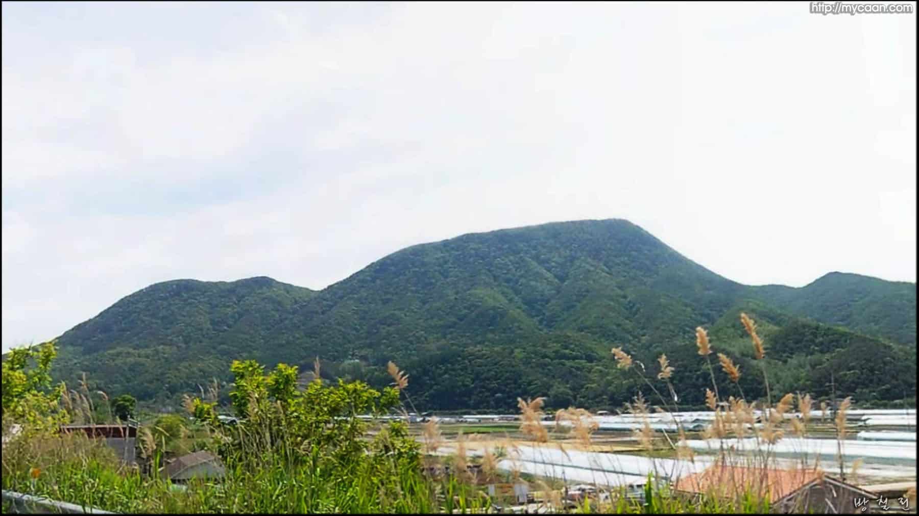 사용자 삽입 이미지