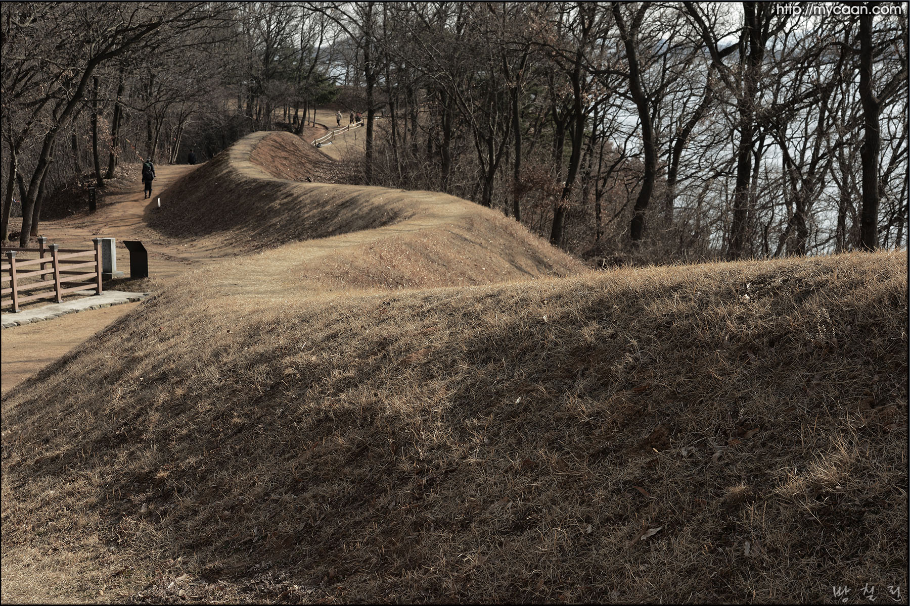 사용자 삽입 이미지