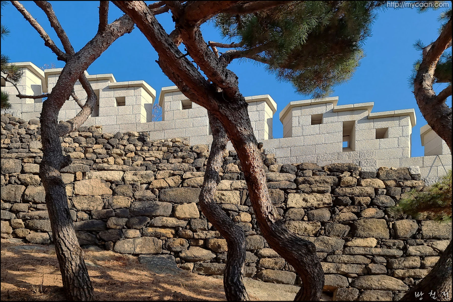 사용자 삽입 이미지