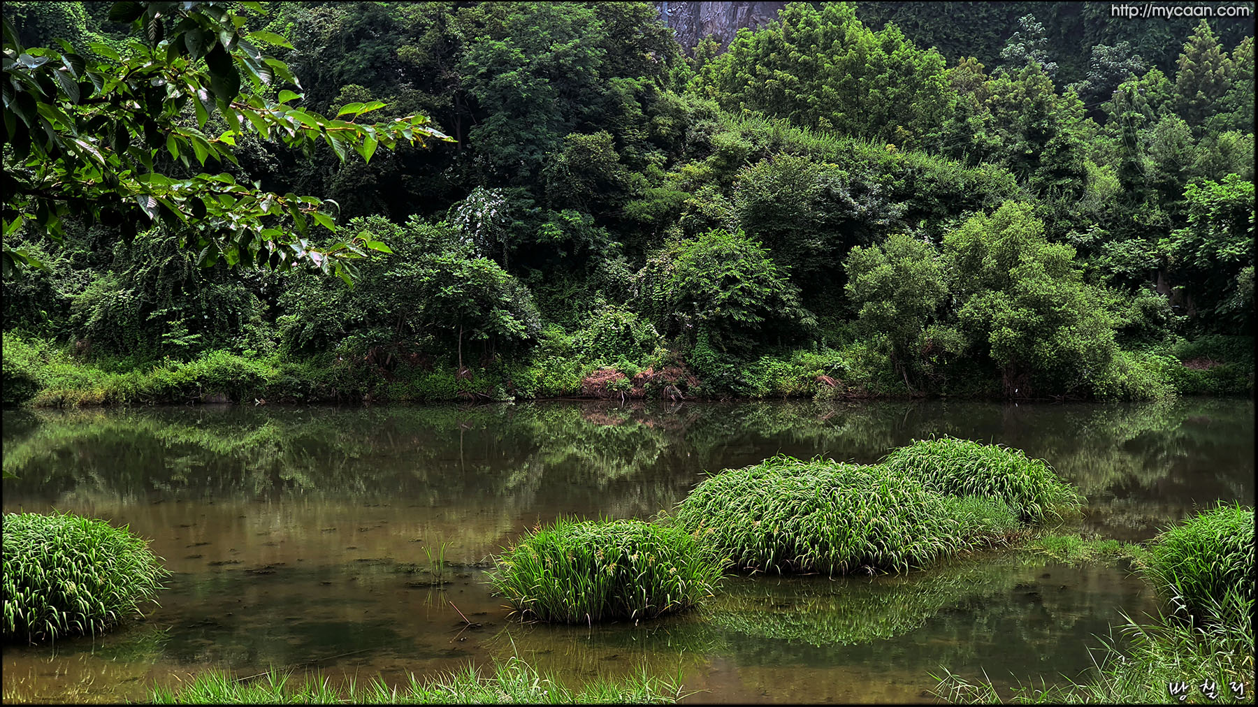 사용자 삽입 이미지