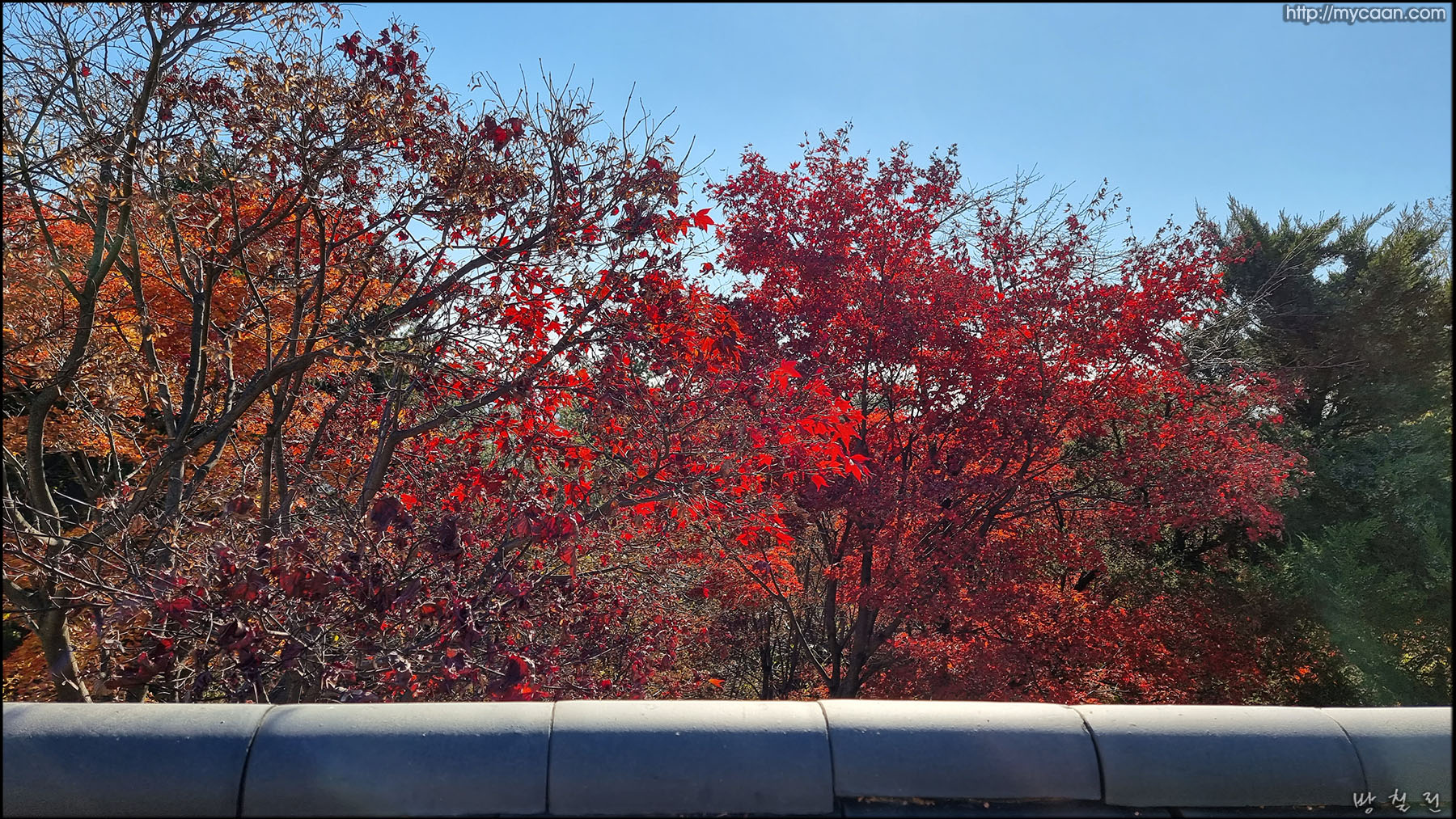 사용자 삽입 이미지