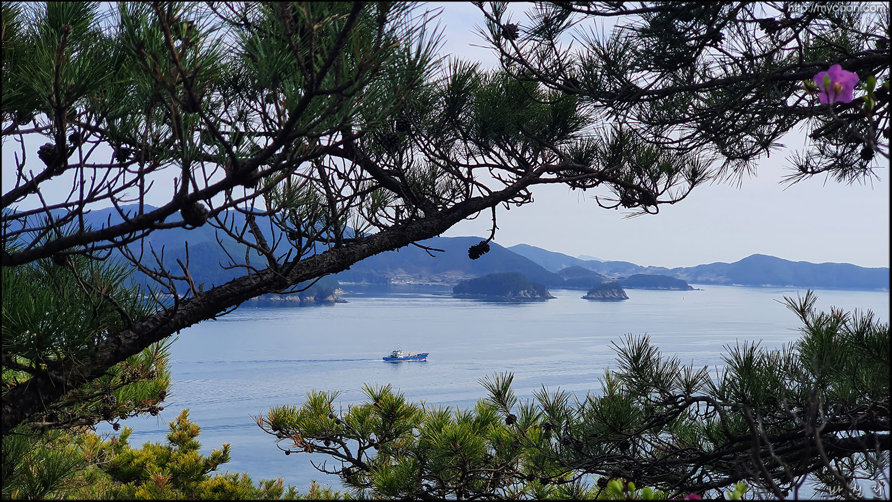 사용자 삽입 이미지