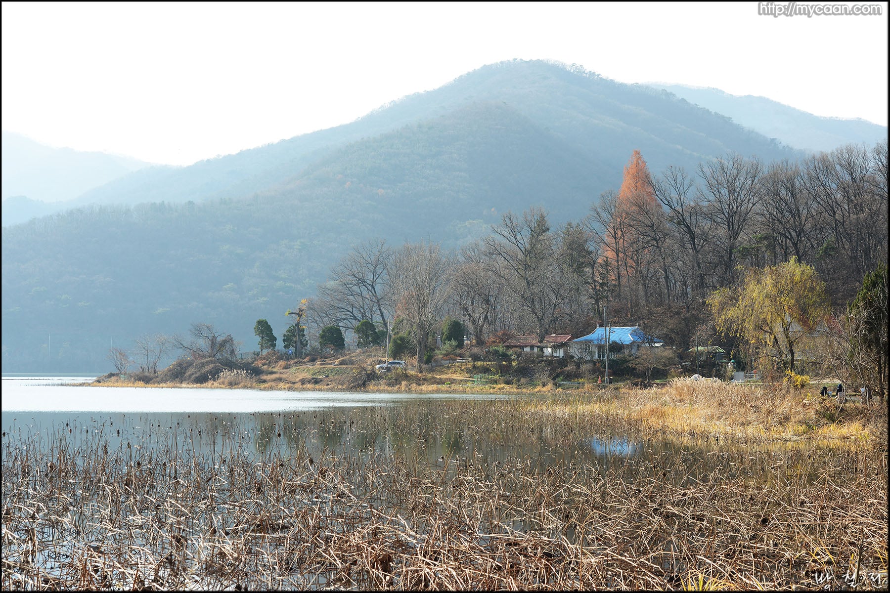 사용자 삽입 이미지