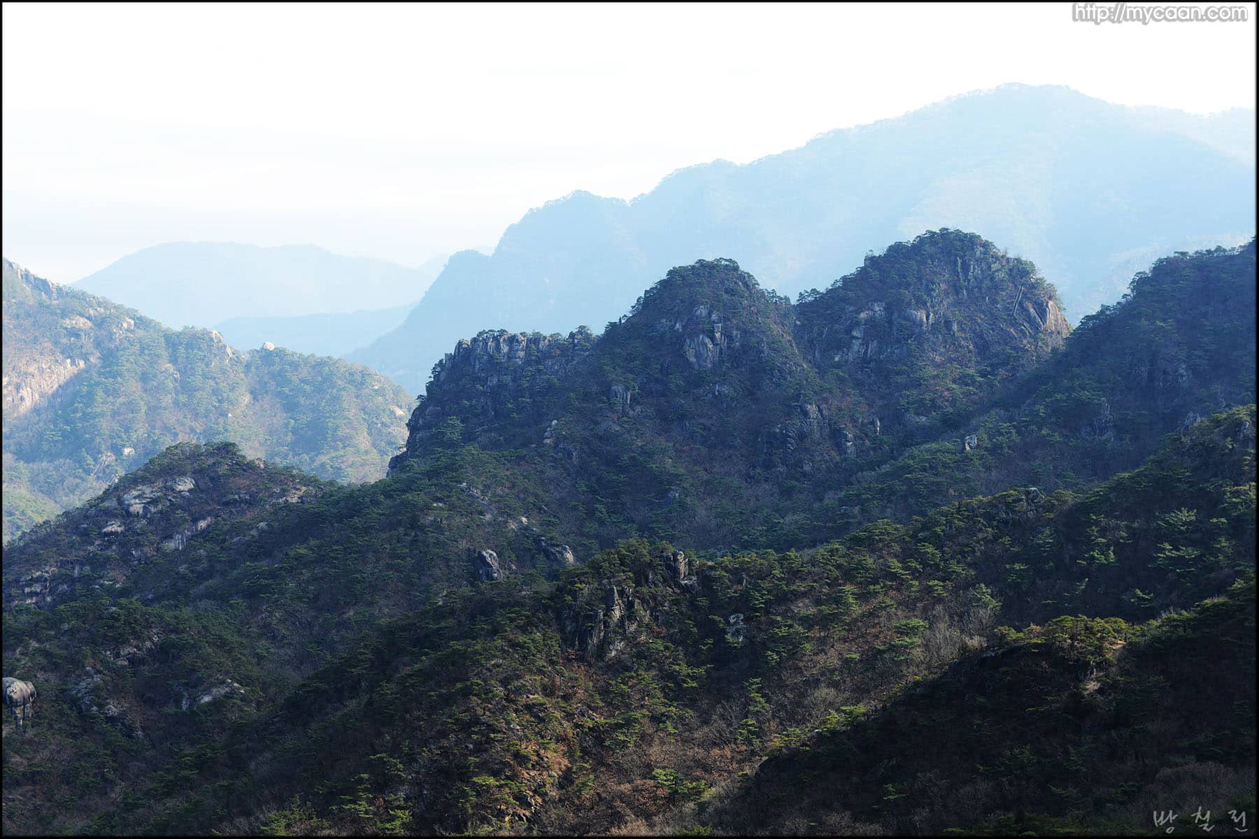 사용자 삽입 이미지