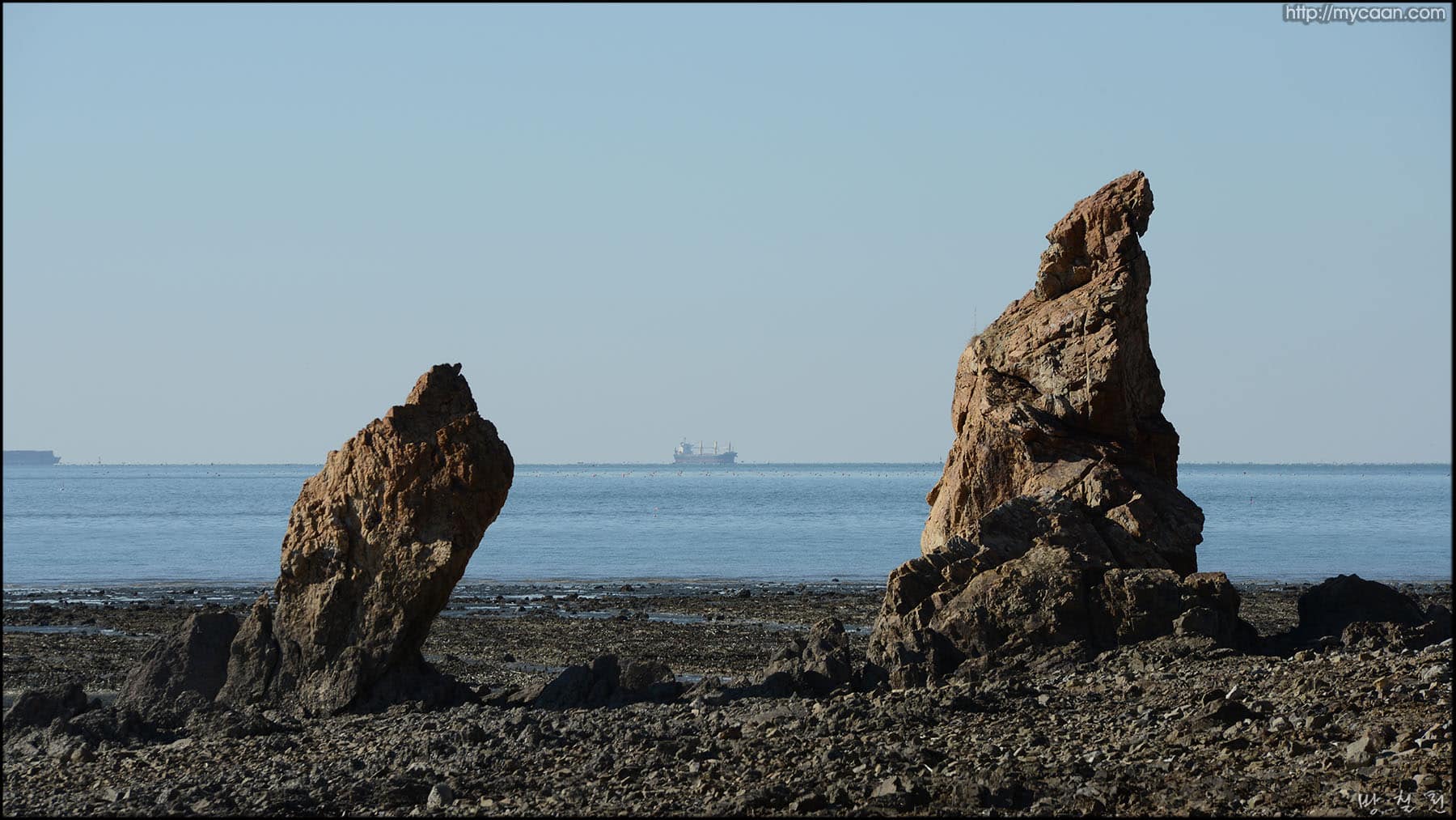 사용자 삽입 이미지