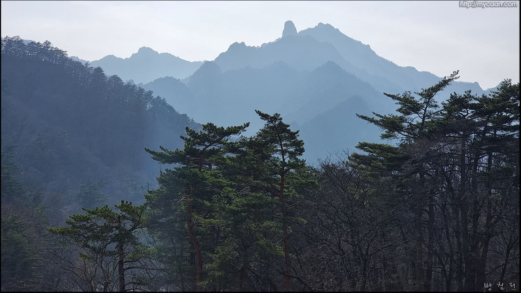사용자 삽입 이미지